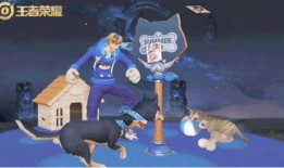 大乔猫狗爆料视频大全下载,趣味瞬间，萌态百出